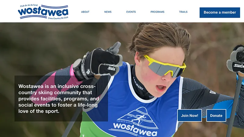 Case study teaser of Wostawea website